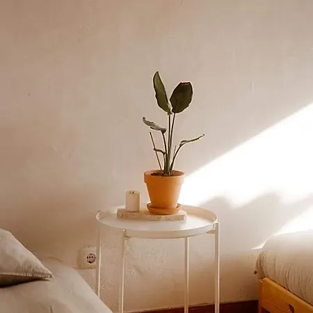 Nana House Ericeira - Yoga & Surf Hotel *